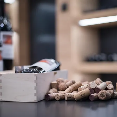 Elisabethhotel Premium Private Retreat- Adults Only Otel Mayrhofen