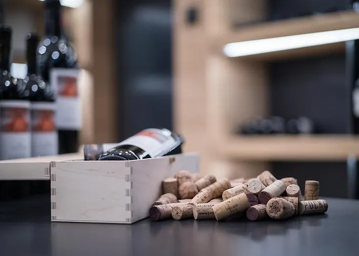 Elisabethhotel Premium Private Retreat- Adults Only Отель Майрхофен